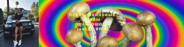 ALPHA PVP Нягань