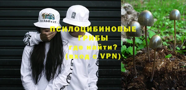 mix Няндома