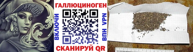 где купить наркоту  блэк спрут маркетплейс  Галлюциногенные грибы Psilocybe  Новомосковск 