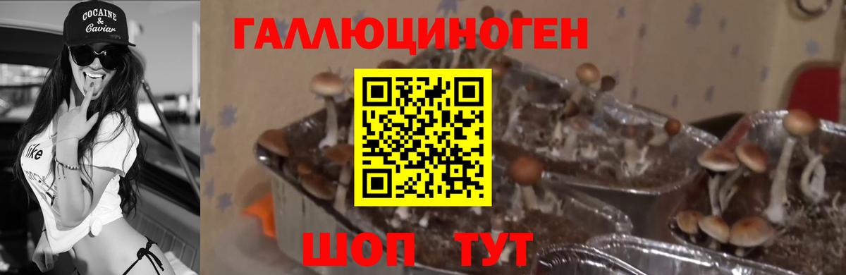 АМФЕТАМИН Новомосковск
